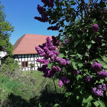 Gite Rue De L'Ange Hunspach Εξωτερικό φωτογραφία