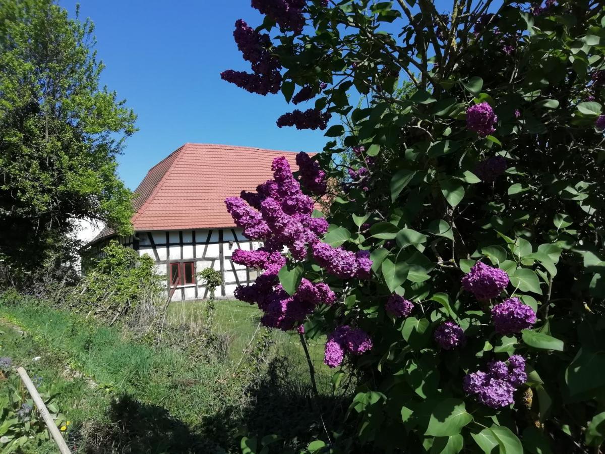 Gite Rue De L'Ange Hunspach Εξωτερικό φωτογραφία